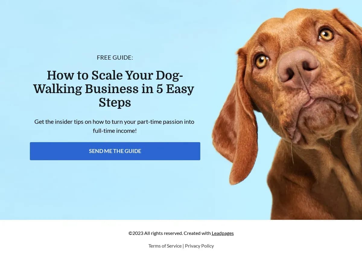 Buster Business landing page template by Leadpages