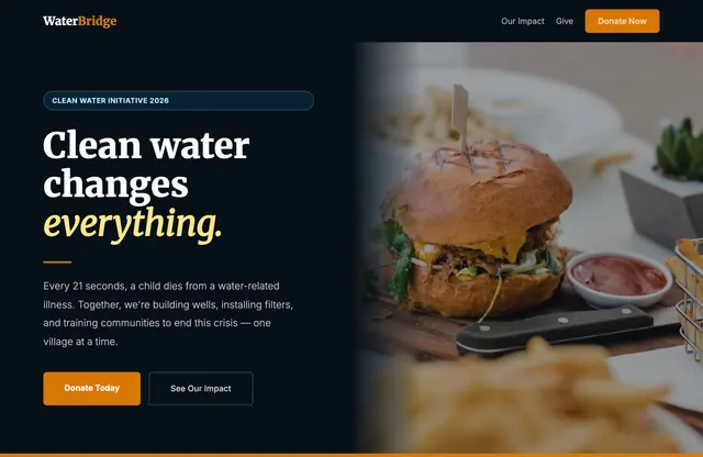 A nonprofit template built with Leadpages